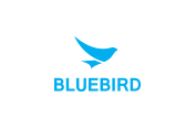 Bluebird